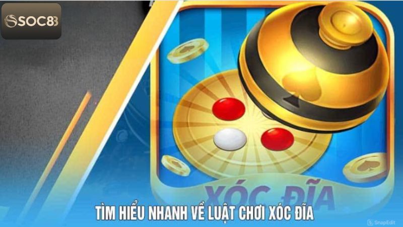 Xóc Đĩa SOC88 - Cùng Thử Vận May, Nhận Thưởng Khủng 3 Người tham gia cần nắm những luật chơi cơ bản của xóc đĩa